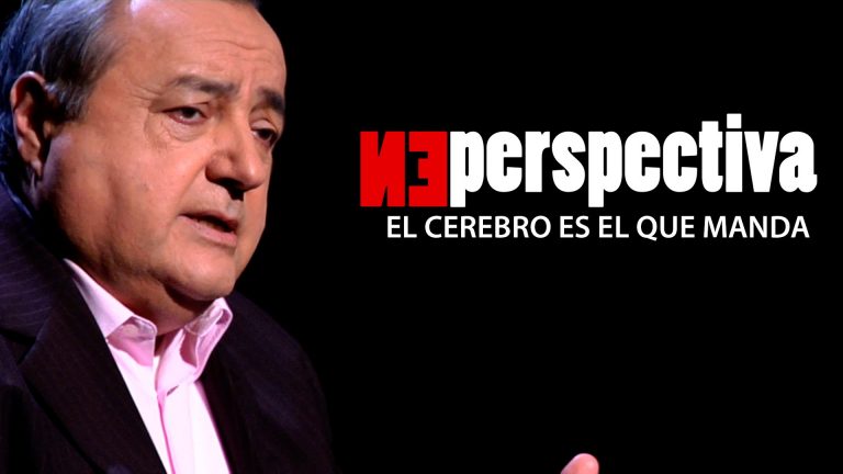 El cerebro es el que manda