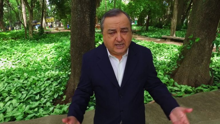 ¿Y los manuales?