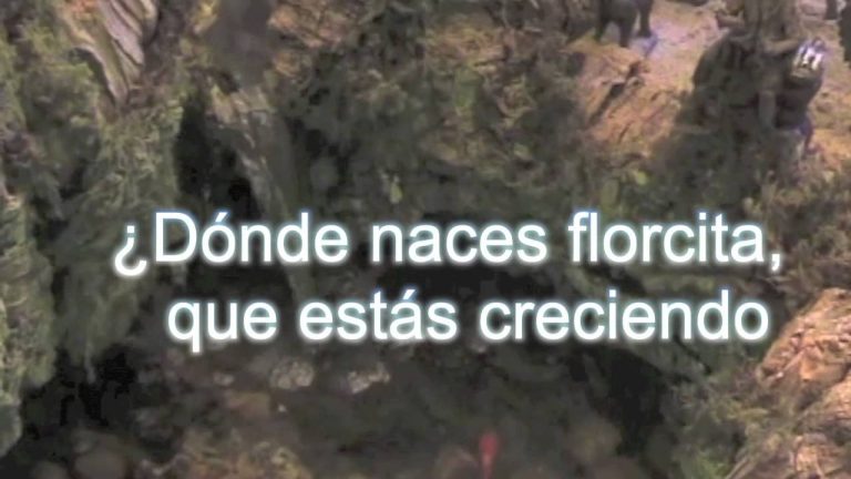 A la huella, José y María.