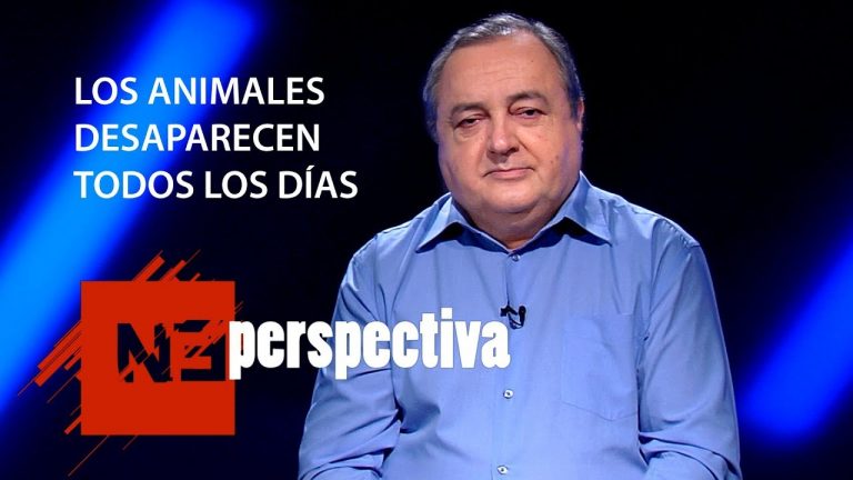 Los animales desaparecen todos los días