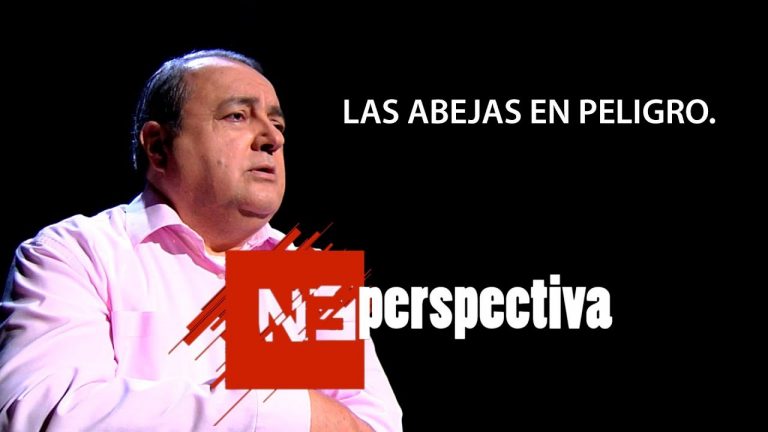 Las abejas en peligro