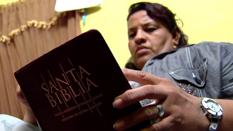 Sembrando la paz